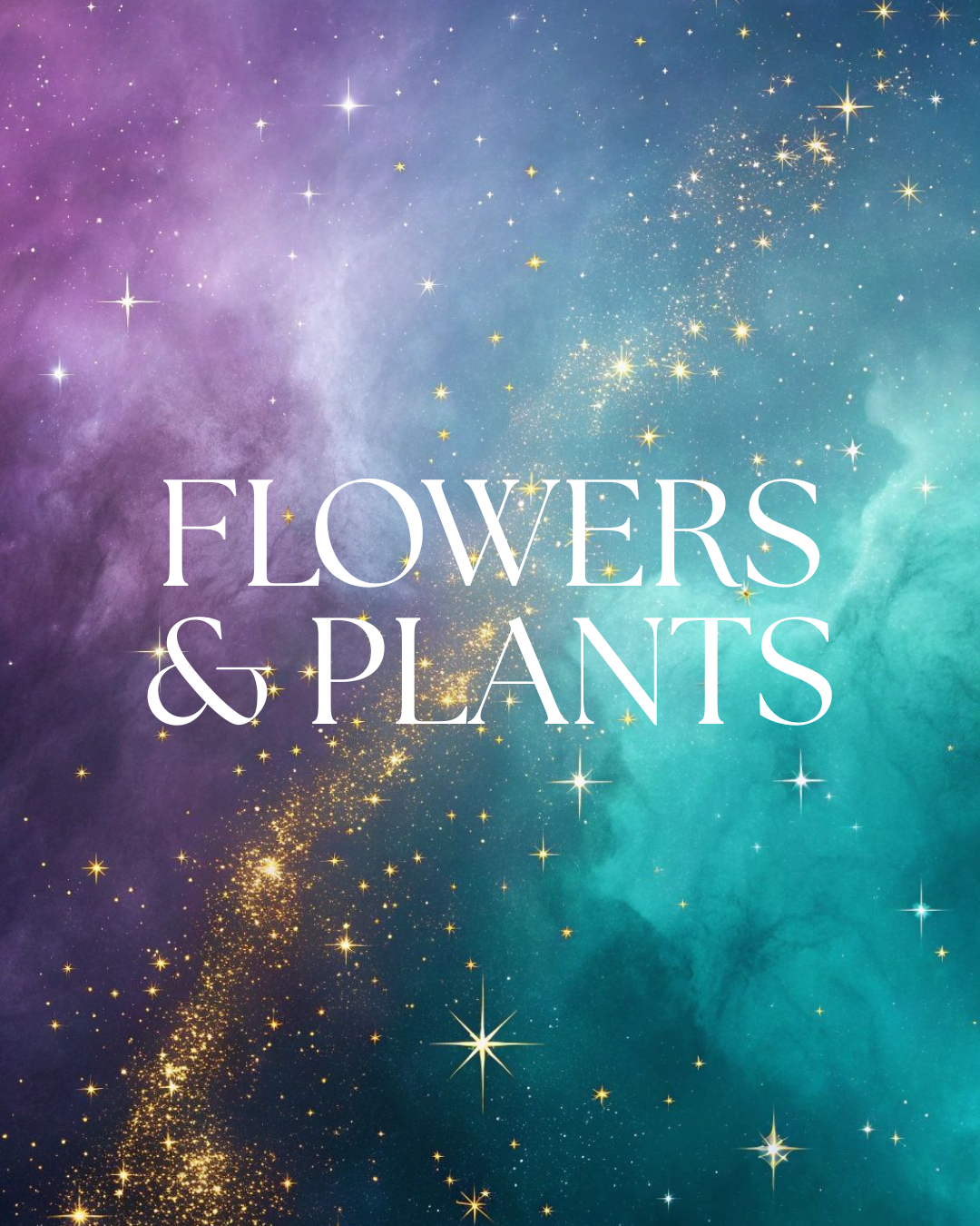 Flowers & Plants